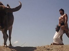 Ragazzo filma porno con in prima persona
