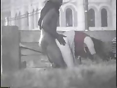 Una donna giapponese figa e sborrata dentro dopo un pompino con tracoma