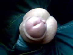 Dolce sesso anale con giovane troietta